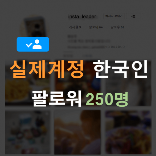 인스타 팔로워 250명 (한국인)