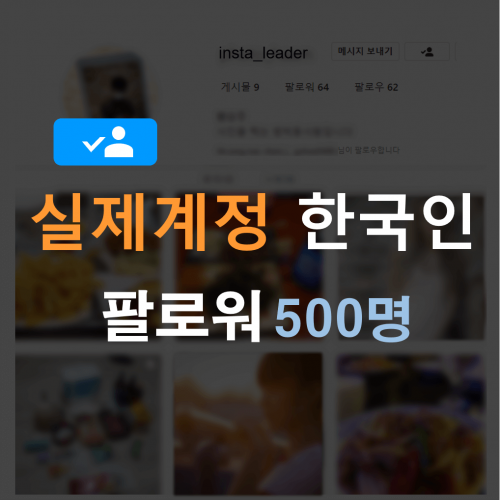 인스타 팔로워 500명 (한국인)