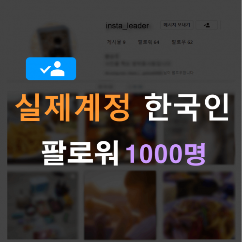 인스타 팔로워 1000명 (한국인)
