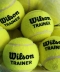 윌슨 테니스 연습구 1개 / 무압구 레슨용 머신용  WRT132200